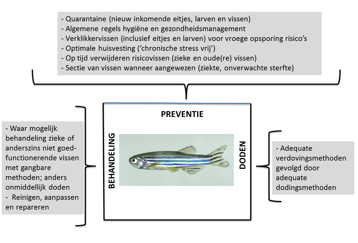 Schema preventie